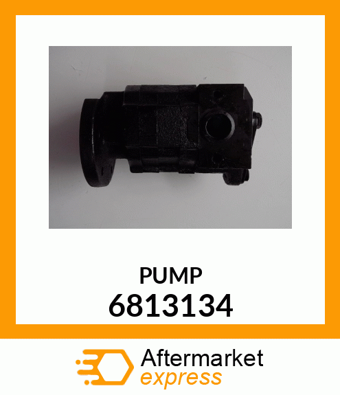 PUMP 6813134