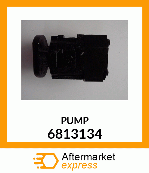 PUMP 6813134