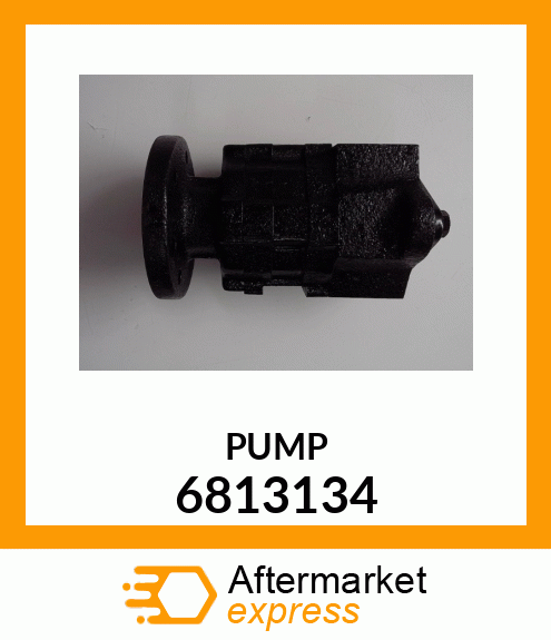 PUMP 6813134