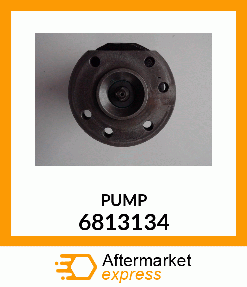 PUMP 6813134