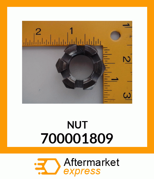 NUT 700001809