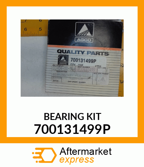 BEARING KIT 700131499P