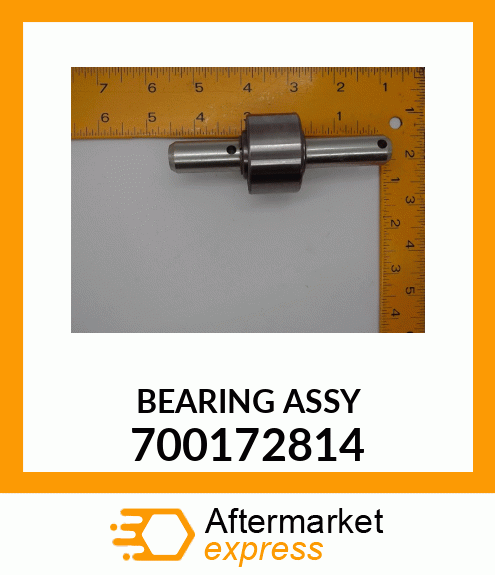 BEARING_ASSY 700172814