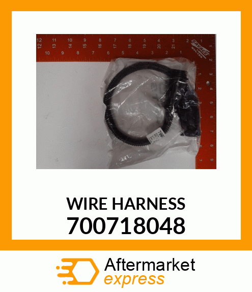 WIREHARNESS 700718048