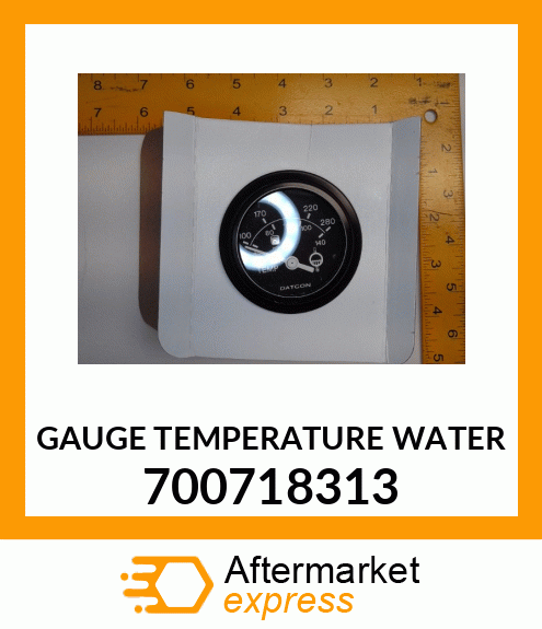 GAUGE TEMPERATURE WATER 700718313