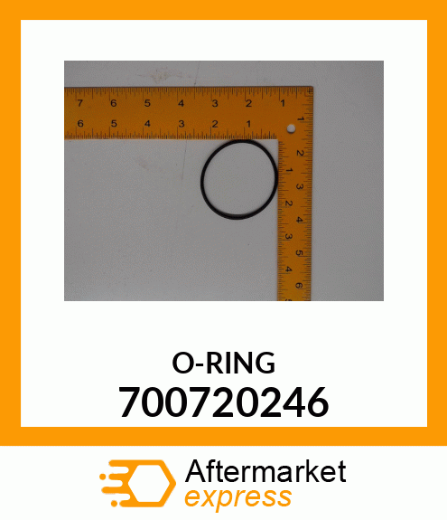 O-RING 700720246