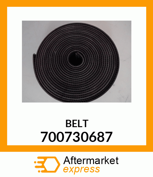 BELT 700730687