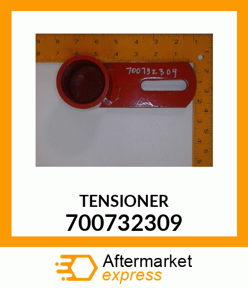 TENSIONER 700732309