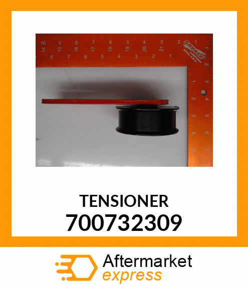 TENSIONER 700732309