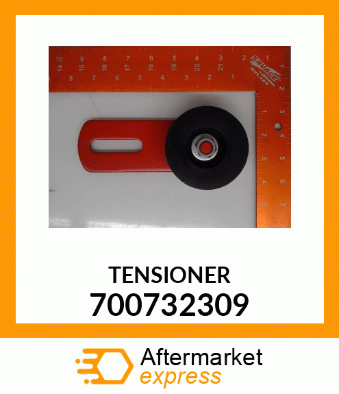 TENSIONER 700732309