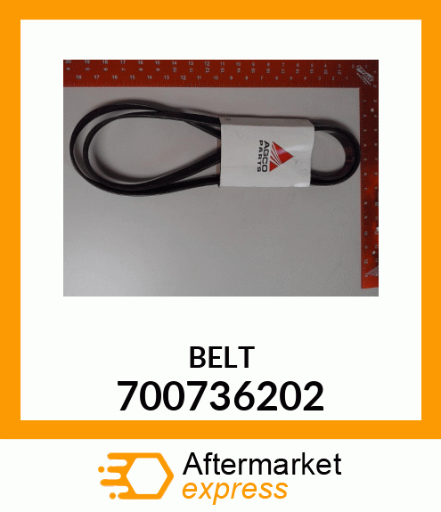 BELT 700736202