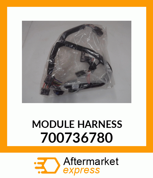 MODULE_HARNESS_ 700736780