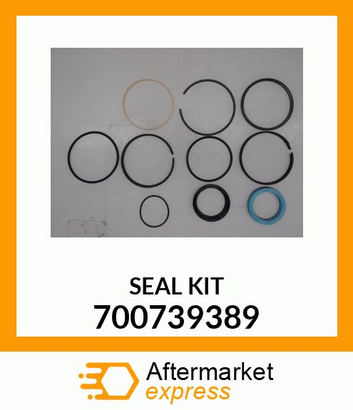 SEAL KIT 700739389