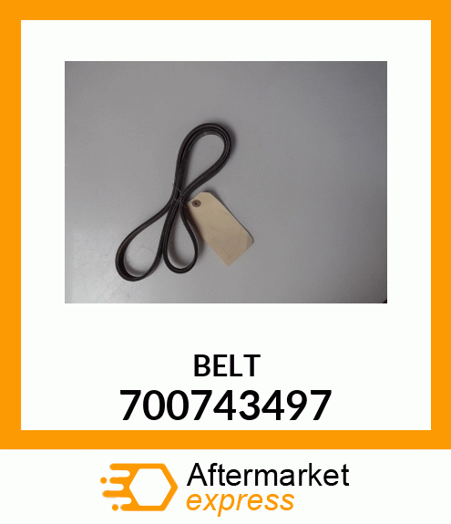 BELT 700743497