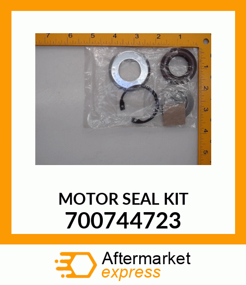 MOTOR_SEAL_KIT_ 700744723