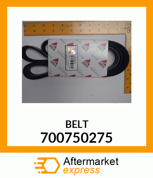 BELT 700750275