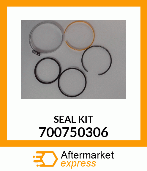 SEAL_KIT 700750306