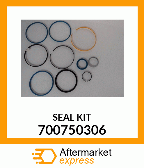 SEAL_KIT 700750306