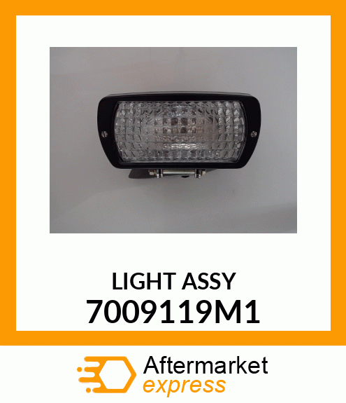 LIGHTASSY 7009119M1