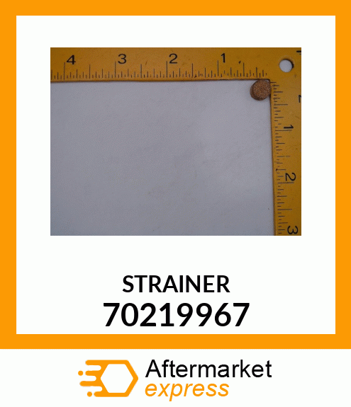 STRAINER 70219967