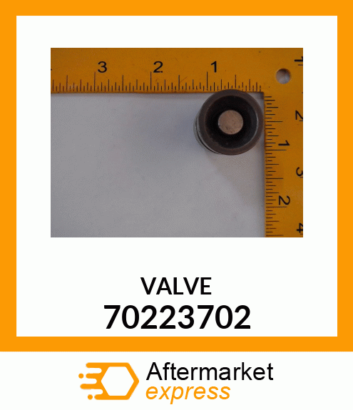 VALVE 70223702