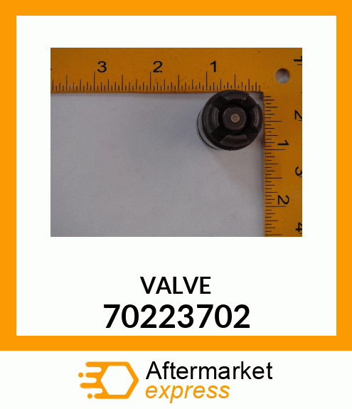 VALVE 70223702