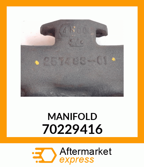 MANIFOLD 70229416