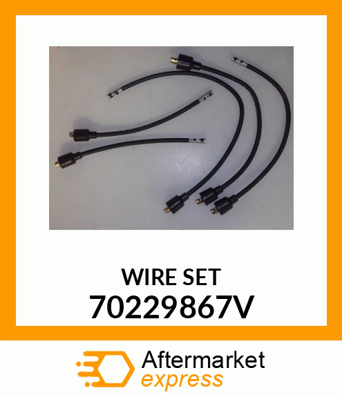 WIRE_SET 70229867V