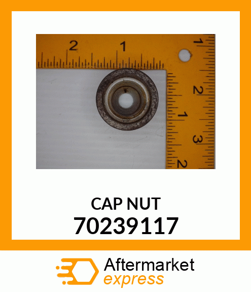 CAP NUT 70239117