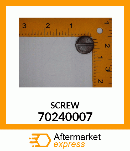 SCREW 70240007