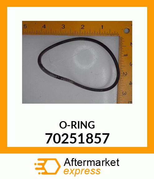 O-RING 70251857