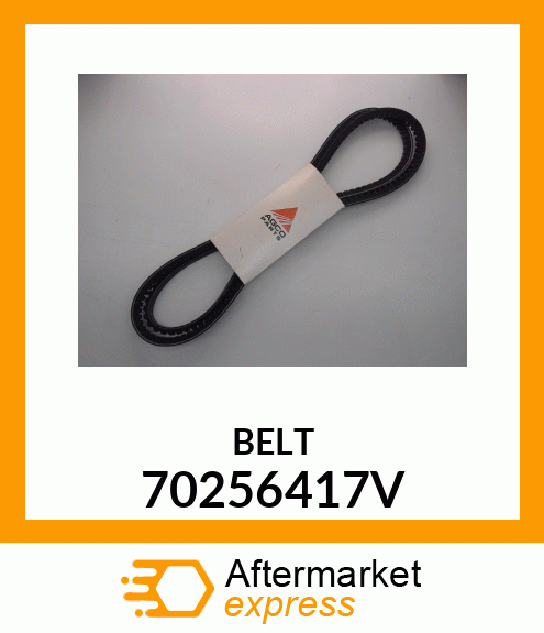 BELT 70256417V