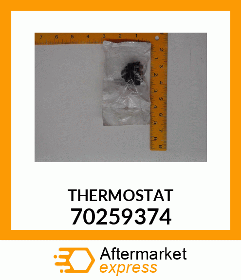 THERMOSTAT 70259374