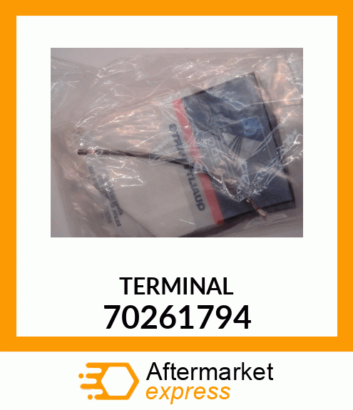 TERMINAL 70261794