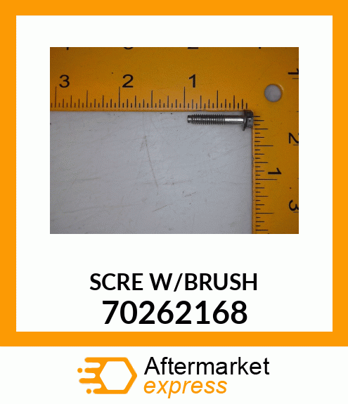 SCRE W/BRUSH 70262168