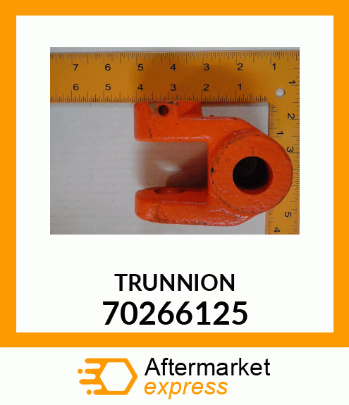 TRUNNION 70266125