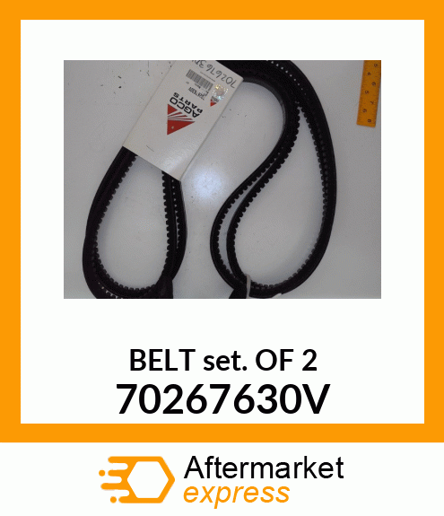 BELT_SET_OF_2 70267630V