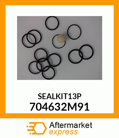 SEALKIT13P 704632M91