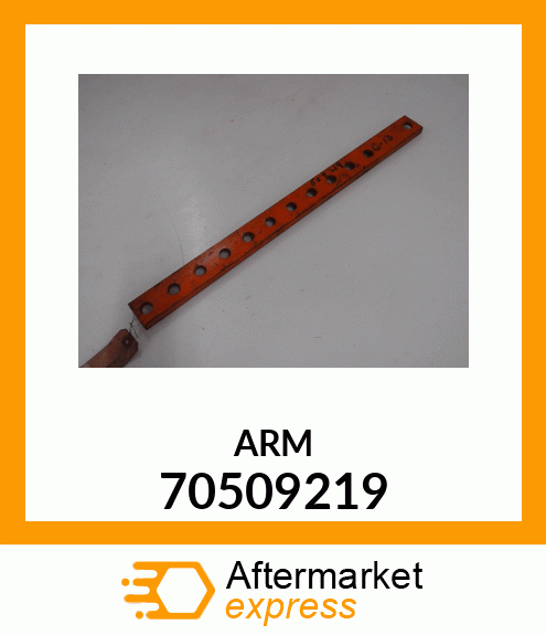 ARM 70509219