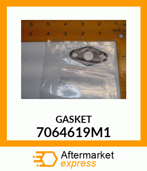 GASKET 7064619M1