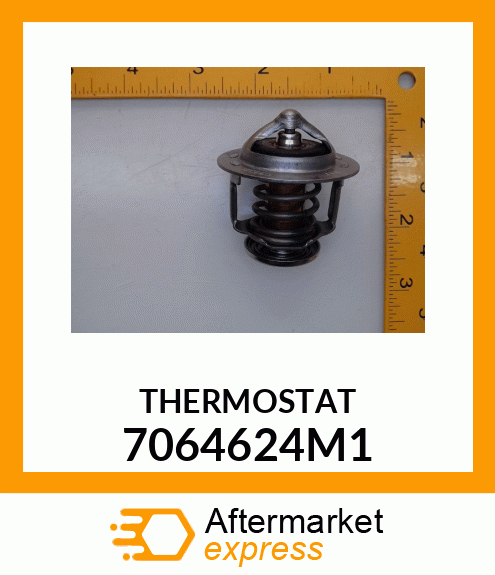 THERMOSTAT 7064624M1