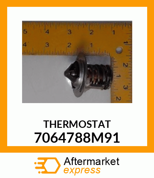 THERMOSTAT 7064788M91