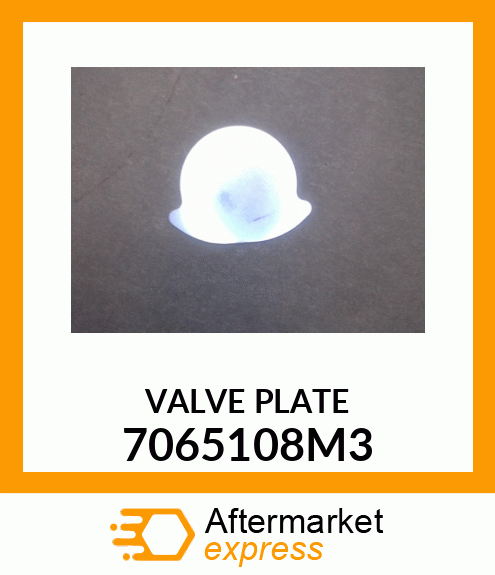 VALVE_PLATE 7065108M3