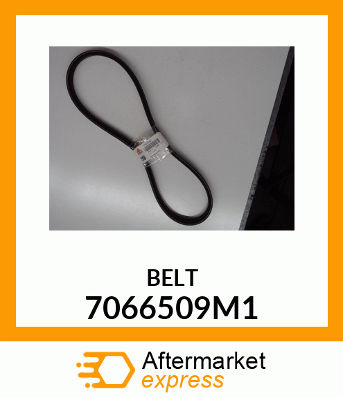 BELT 7066509M1