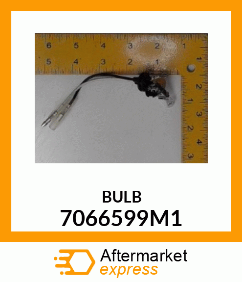 BULB 7066599M1