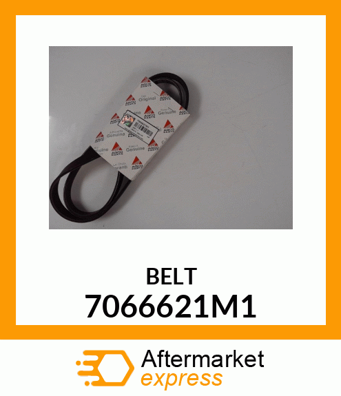 BELT 7066621M1