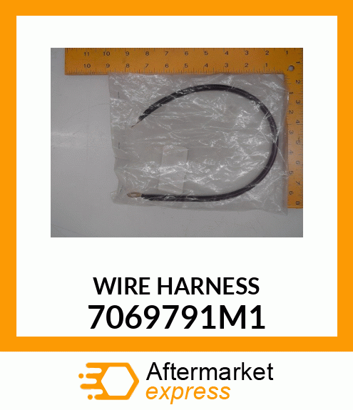 WIRE_HARNESS 7069791M1