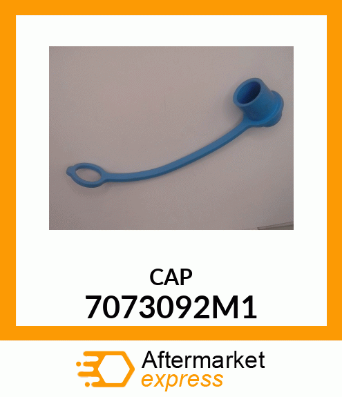 CAP 7073092M1