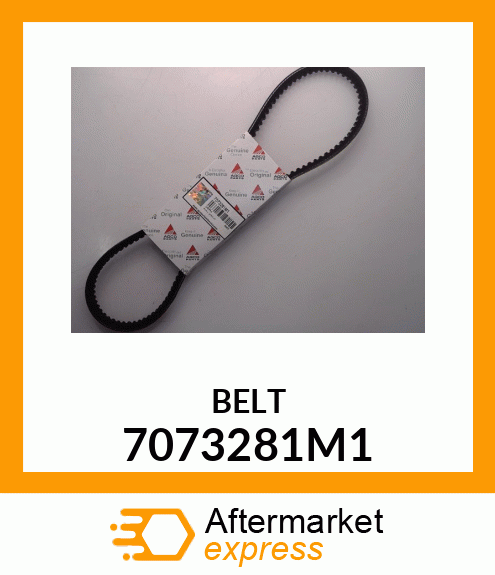 BELT 7073281M1