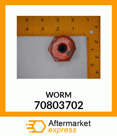 WORM 70803702